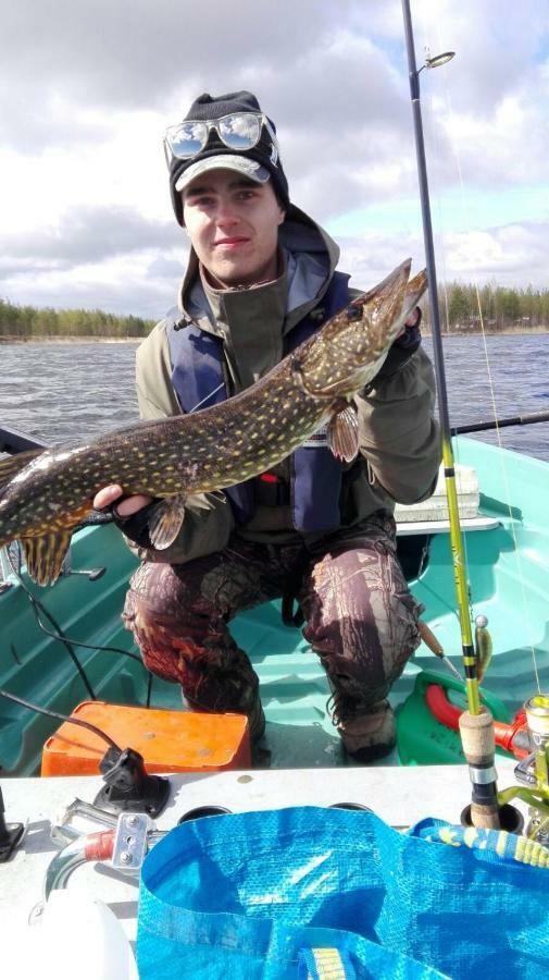 Topin Tupa 1 Oravisalo Exteriör bild